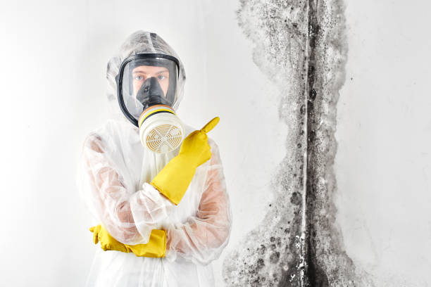 Mold Documentation for Insurance Claims in Wathena, KS